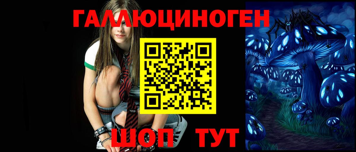 Тамбов  Псилоцибиновые грибы MAGIC MUSHROOMS  Псилоцибиновые грибы прущие грибы  как найти наркотики  Вход с VPN 
