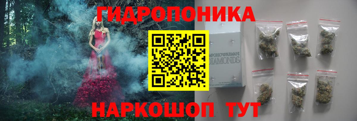 Тамбов  Бошки марихуана тримм  Вход с VPN  Шишки марихуана SATIVA & INDICA  МАРИХУАНА сатива 